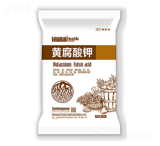 �S�����-����(bi��o)-�T�S�@