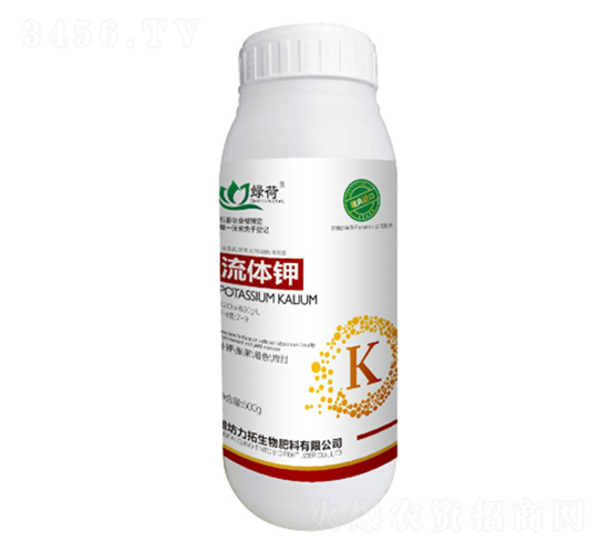 ���w�-��������