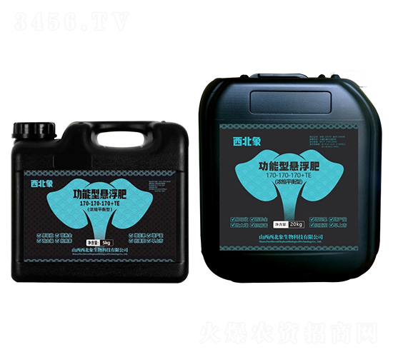 ƽ���͹��ܑҸ���170-170-170+TE-������