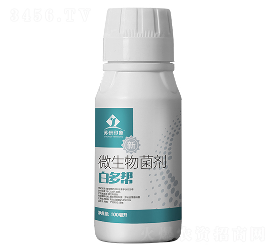 ΢�������-�׶���-�K��ӡ��