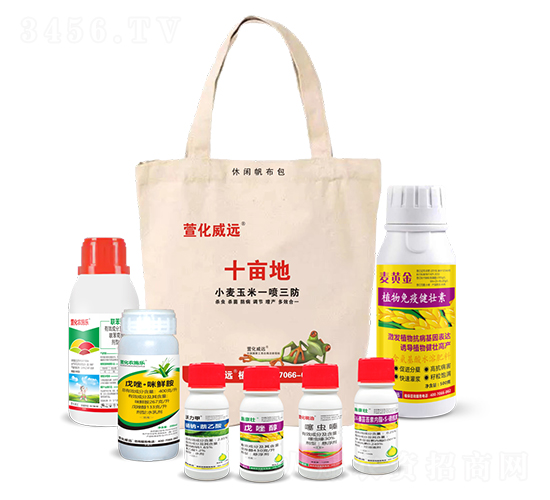 С������һ��������ʮ���أ�-�滯���h(yu��n)