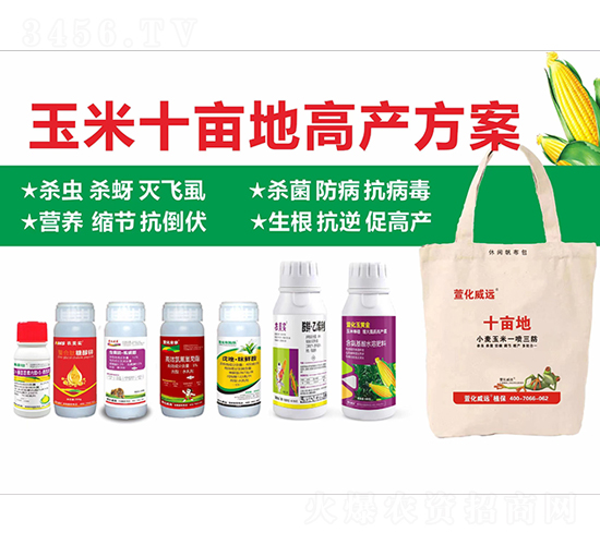 玉米十畝地高產(chǎn)方案-萱化威遠(yuǎn)