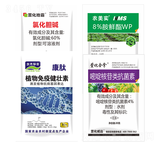 氯化膽堿+植物免疫健壯素+嘧啶核苷類(lèi)抗菌素+8%胺鮮酯WP-萱化威遠(yuǎn)
