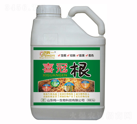 ϲ�ڡ���-�Qһ����