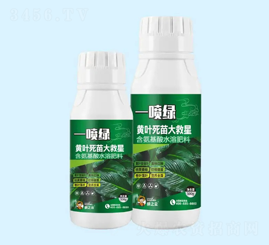 һ���G-�S�~��������-�ʢ����