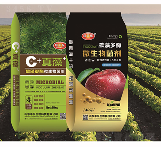 ̼���ø΢�������-���S����