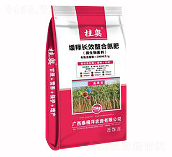 ����LЧ���ϵ���-̩����