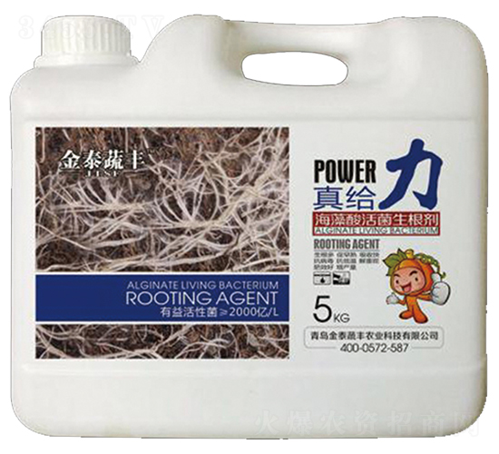 ������������-��o��-��̩���S