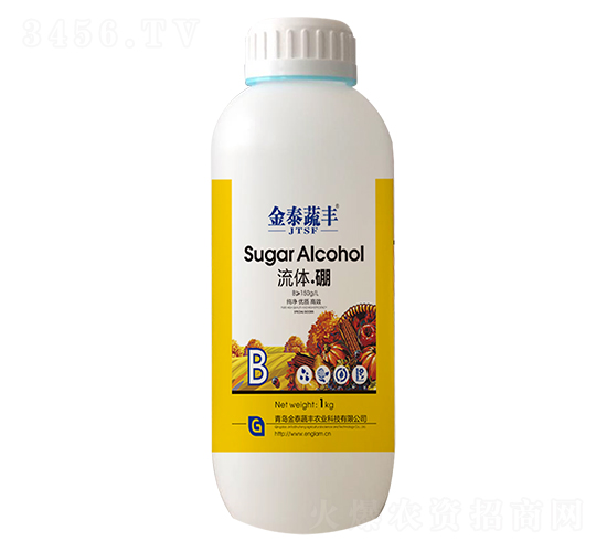 ���w����-��̩���S