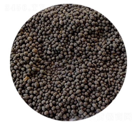 �A�w���ЙC(j��)��-�|�����B(t��i)