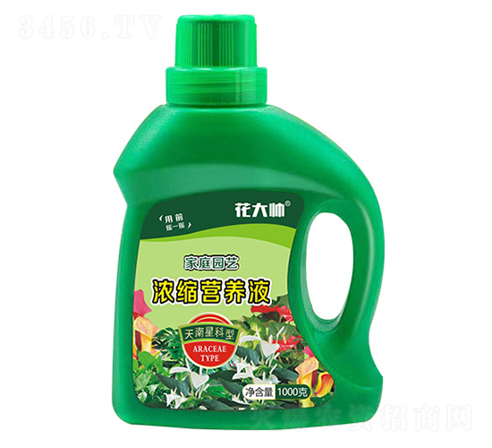 天南星科型濃縮營養(yǎng)液-花大帥-綠沃肥業(yè)