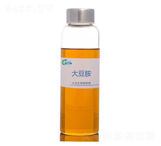 �󶹰�-������ԭ��-��Ԫ��