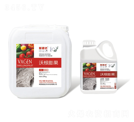 �ָ����-ʩ���_