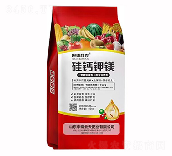 ���}��V-�͵����r(n��ng)-��������