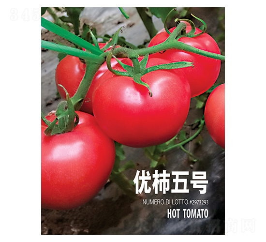 ��(y��u)����̖-���r(n��ng)����(chu��ng)