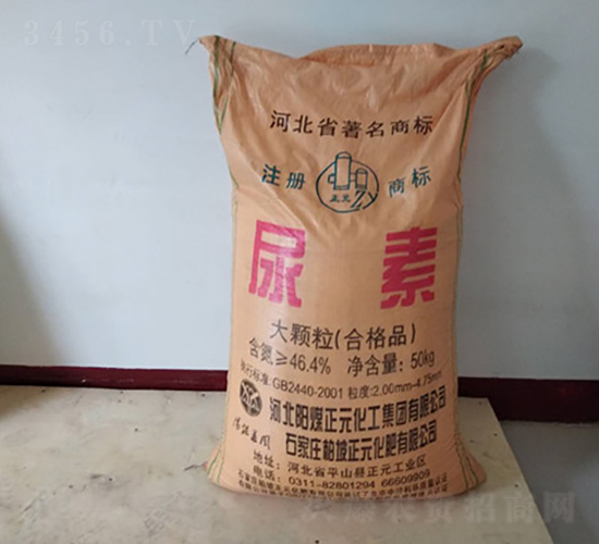 ���w������-��������