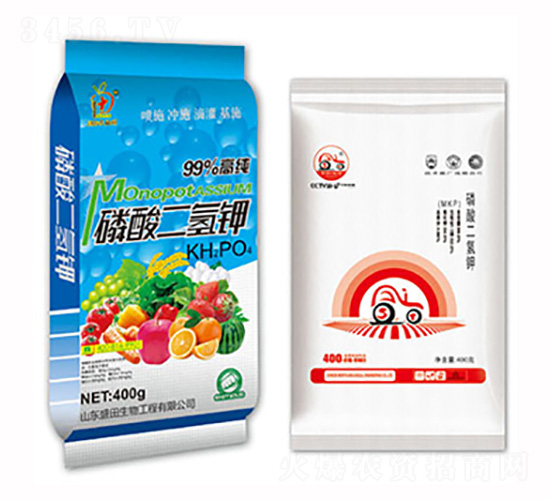 ��������-ʢ������