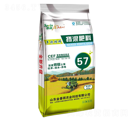 �������19-19-19-����