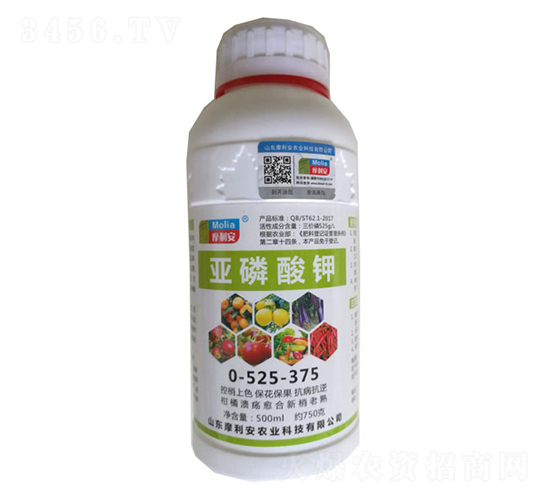 �������0-525-375-Ħ����