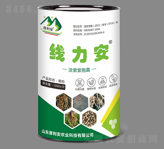 �������߾�-������-Ħ����