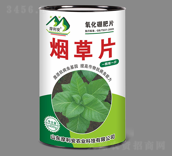 ����Ƭ-Ħ����