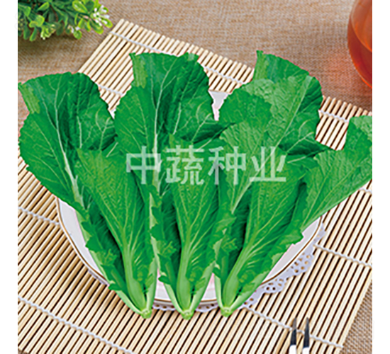 �116-�ײ˷N��-���߷N�I(y��)