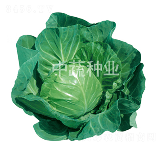 �и�15̖-���{�N��-���߷N�I(y��)