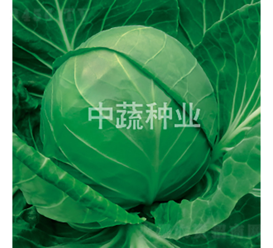 YR�и�21-���{(l��n)�N��-���߷N�I(y��)