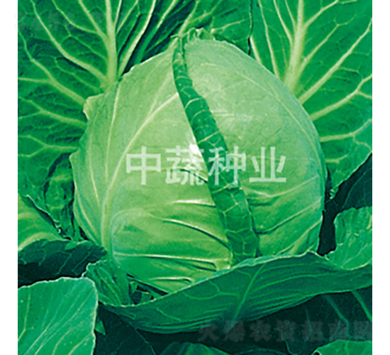 �и�17-���{�N��-���߷N�I(y��)