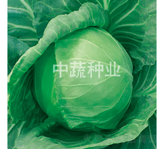 �и�301-���{(l��n)�N��-���߷N�I(y��)