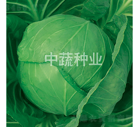 �и�828-���{(l��n)�N��-���߷N�I(y��)