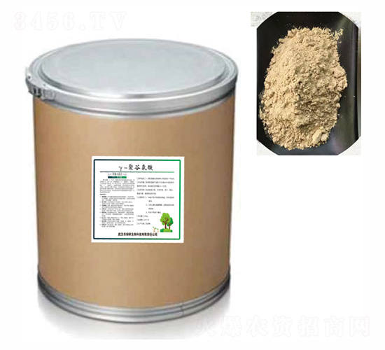 �۹Ȱ���ۄ���20���-�G������