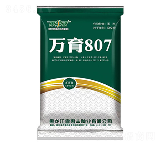 萬玉807-玉米種子-惠豐源