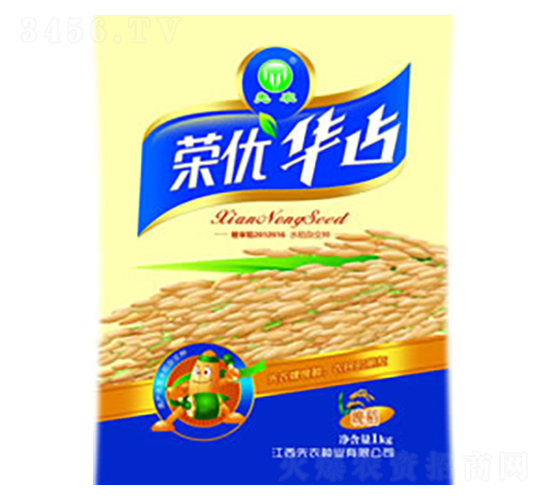 榮優(yōu)華占-水稻種子-先農(nóng)種業(yè)