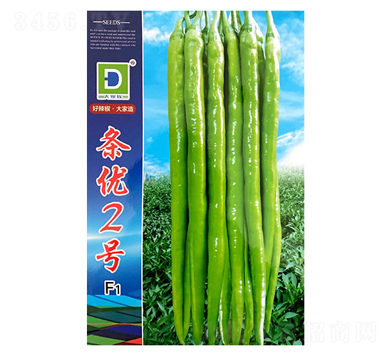 條優(yōu)二號-辣椒種子-大家族種業(yè)