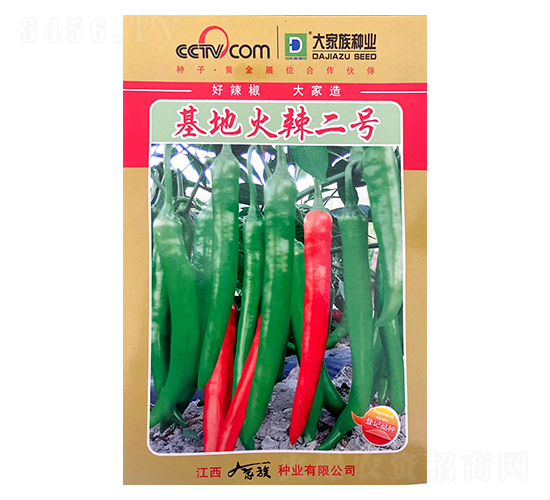 基地火辣二號-辣椒種子-大家族種業(yè)