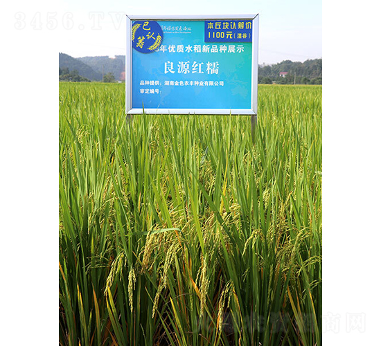 ��ԭ�tŴ-ˮ���N��-��ɫ�r(n��ng)�S