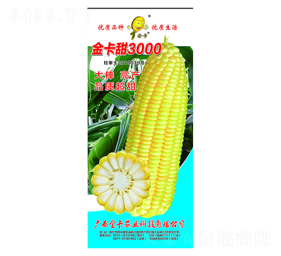 ����3000-���׷N��-���r(n��ng)�I(y��)