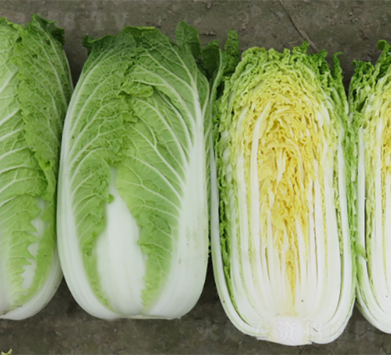 ������ײ�-�ײ˷N��-�V��