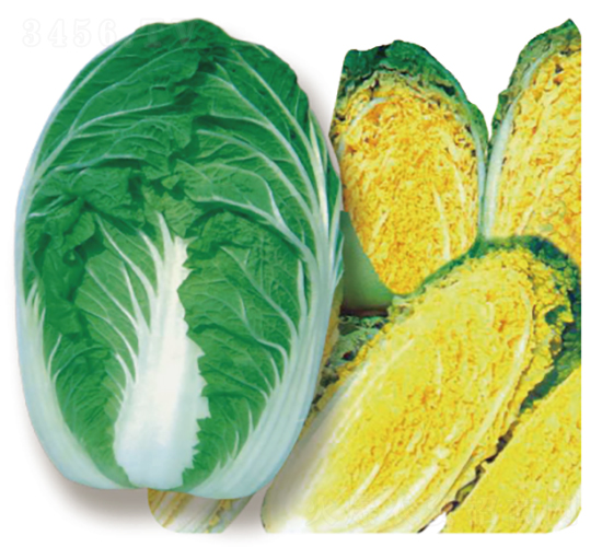 Խ���󌢰ײ�-�ײ˷N��-�V��