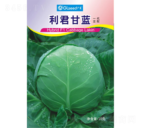 �������{-���{�N��-�V��