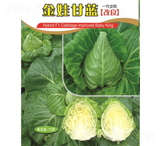 ���޸��{-���{�N��-�V��