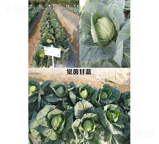 �X(ju��)����{(l��n)-���{(l��n)�N��-�V��