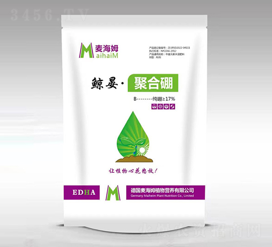 �L�̡��ۺ���-����ķ