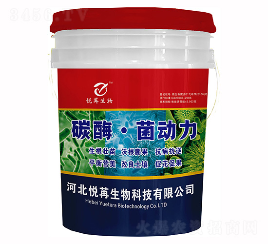 ̼ø����(d��ng)��-����