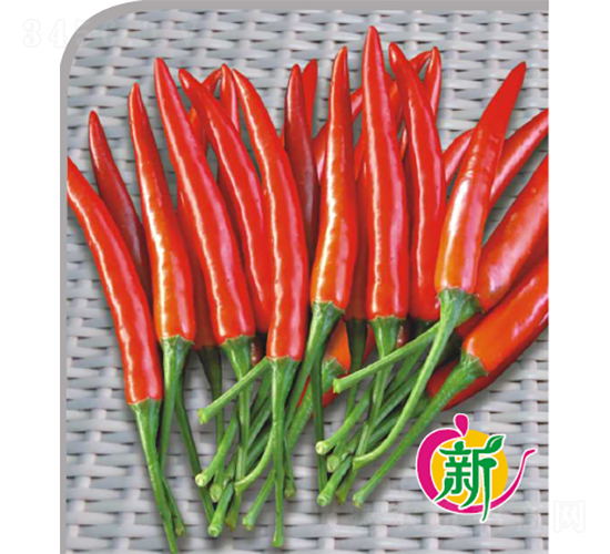 �V��17�����ɽ�-�����N��-�V��