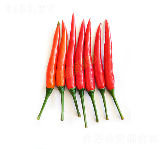 GL-58���콷-�����N��-�V��