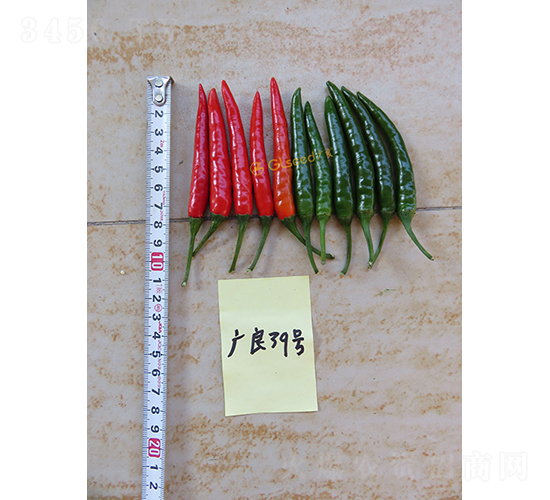 �V��39���콷-�����N��-�V��