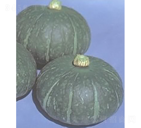 �٘s�Ϲ�-�ϹϷN��-�V��