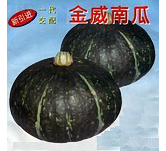 �����Ϲ�-�ϹϷN��-�V��